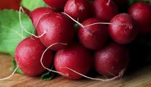 Organic Heirloom Crimson Giant Radish Seeds