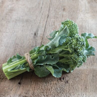 Heirloom Organic Broccoli De Cicco Seeds