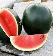 Heirloom Organic Black Diamond Watermelon Seeds (aka Cannonball Watermelon, Florida Giant Watermelon)
