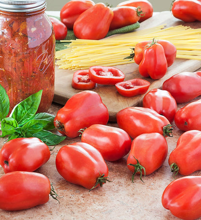Heirloom Organic San Marzano Tomato Seeds