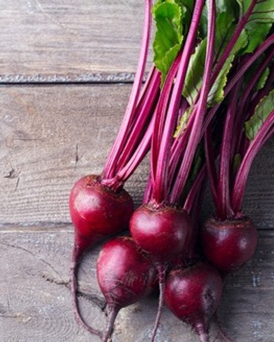 Organic Heirloom Tall Top Early Wonder Beet Seeds