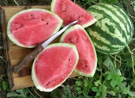 Organic Heirloom Crimson Sweet Watermelon Seeds