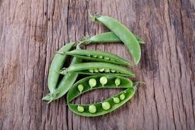 Organic Heirloom Sugar Snap Pea seeds