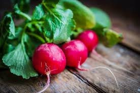 Heirloom Organic Early Scarlet Globe Radish Seeds