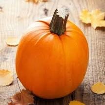 Heirloom Organic Small Sugar Pumpkin Seeds