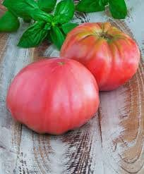 Heirloom Organic Brandywine Tomato Seeds (10)
