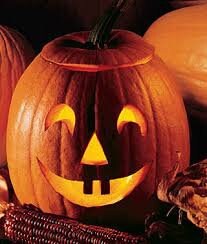 Heirloom Organic Jack O' Lantern Pumpkin Seeds