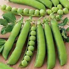 Heirloom Organic Garden Peas Thomas Laxton Seeds