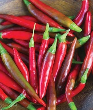 Organic Big Thai Hot Pepper Hybrid Seeds
