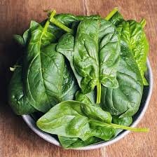 Heirloom Organic Giant Noble Spinach Seeds