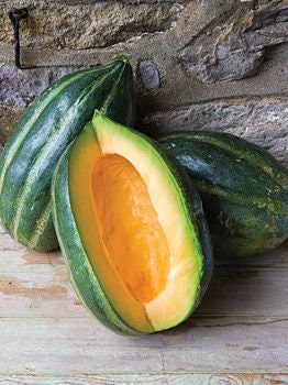 RARE Heirloom Organic Bidwell Casaba Melon Seeds