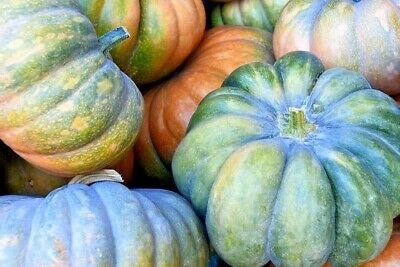 RARE Heirloom Organic Cinderella Pumpkin Seeds (Musquee De Provence Pumpkin, Fairytale pumpkin)