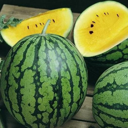 RARE Heirloom Organic Yellow Petite Watermelon Seeds