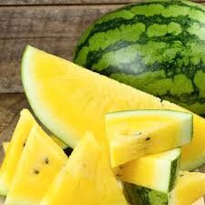 Heirloom Organic Mountain Sweet Yellow Watermelon Seeds