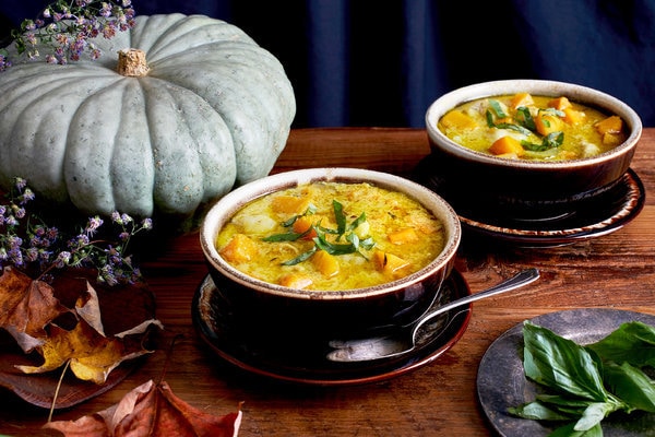 RARE Organic Heirloom Jarrahdale Pumpkin Seeds