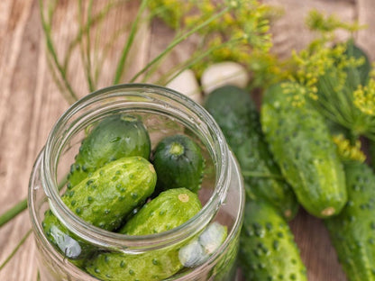 Heirloom Organic Straight Eight Cucumber Seeds