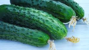 Heirloom Organic Straight Eight Cucumber Seeds