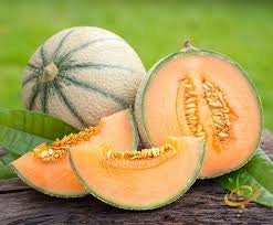 Heirloom Organic Hale's Best Jumbo Cantaloupe Seeds