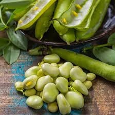 Heirloom Organic King Of The Garden Pole Bean Lima Bean Seeds