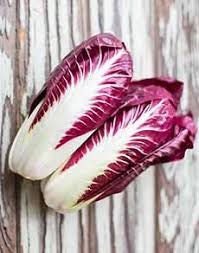 Heirloom Organic Early Treviso Radicchio Seeds