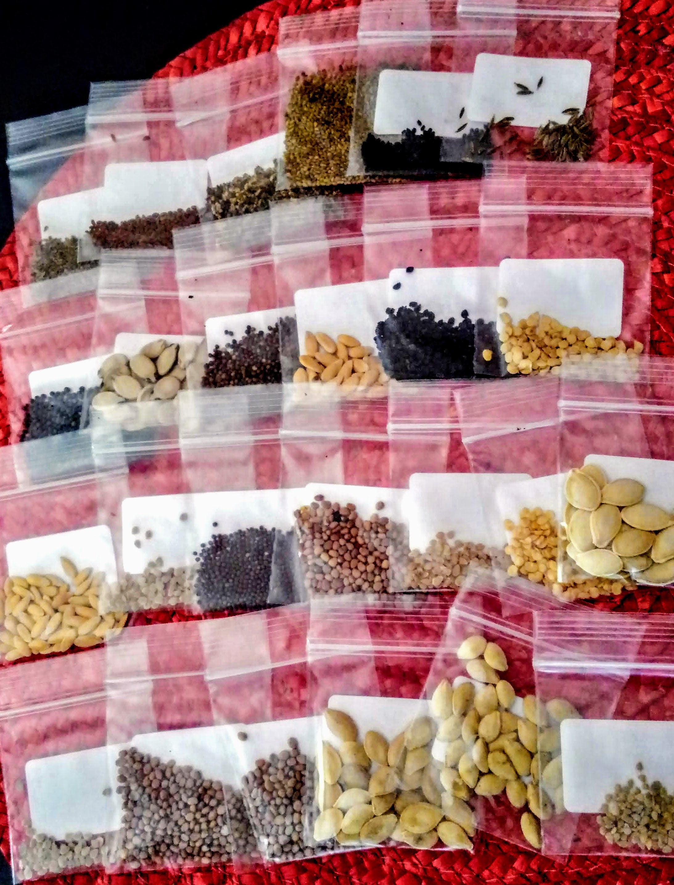 Military grade Survival Seed Bank 75 Variety Seed Vault