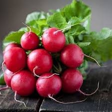 Organic Heirloom Crimson Giant Radish Seeds