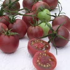 Heirloom Organic Chocolate Cherry Tomato Seeds Solanum lycopersicum