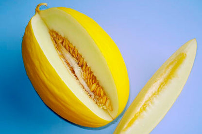 RARE Heirloom Organic Canary Melon Seeds
