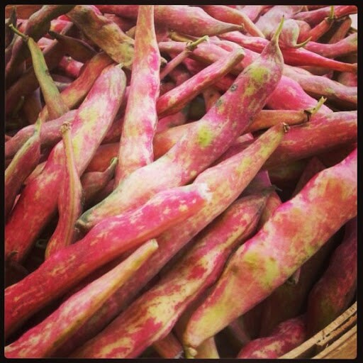 Organic Heirloom Red Cargamanto Bean Seeds