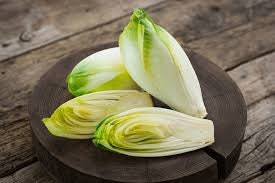 Heirloom Organic Salad King Endive Seeds