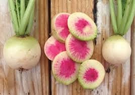 Asian Heirloom Organic Watermelon Radish Seeds