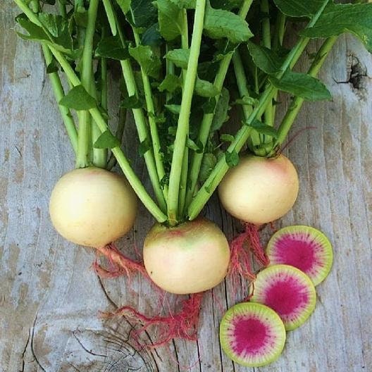 Asian Heirloom Organic Watermelon Radish Seeds