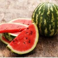 Heirloom Organic Klondike Blue Ribbon Striped Watermelon Seeds