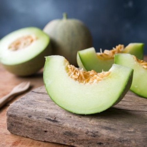 Heirloom Organic Tam Dew Honeydew Melon Seeds