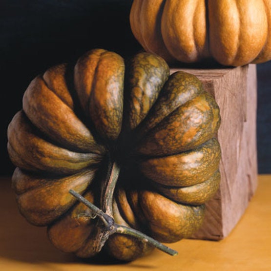 RARE Heirloom Organic Cinderella Pumpkin Seeds (Musquee De Provence Pumpkin, Fairytale pumpkin)