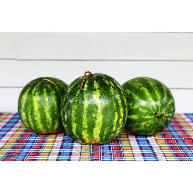 RARE Heirloom Organic Yellow Petite Watermelon Seeds