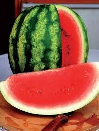Organic Heirloom AU Producer Watermelon Seeds