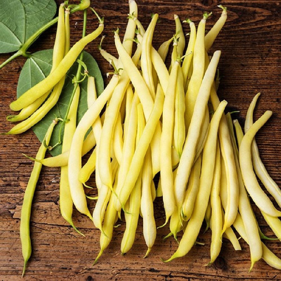 Heirloom Organic Yellow Pencil Pod Bush Bean Seeds