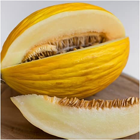 RARE Heirloom Organic Canary Melon Seeds