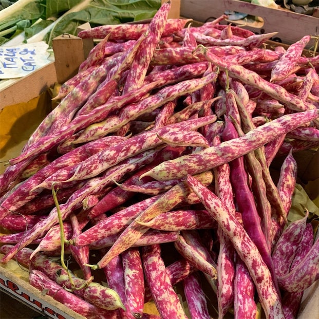 Organic Heirloom Red Cargamanto Bean Seeds