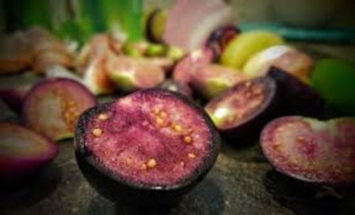 Organic Heirloom Purple Tomatillo Seeds Rare
