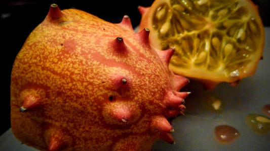 Organic Heirloom Horned Melon Seeds (Cucumis metuliferus, Kiwano, Jelly Melon, African Horned Cucumber.) Seeds Rare