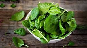 Heirloom Organic Whale Spinach Seeds