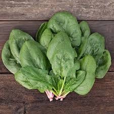 Heirloom Organic Whale Spinach Seeds