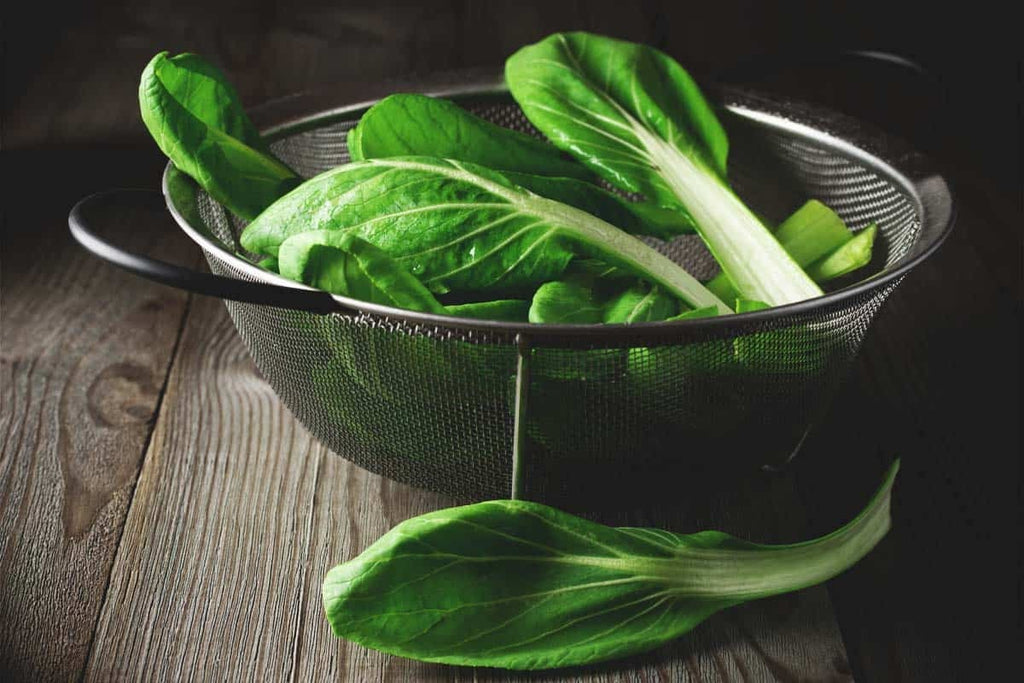 Heirloom Organic Tatsoi Mustard Greens Seeds