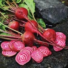 Heirloom Organic Chioggia Guardsmark Beet Seeds (Aka Bullseye Beet)