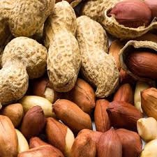 organic peanut seeds for planting Heirloom Organic Raw Spanish Peanut Seeds – Shortcake Farms