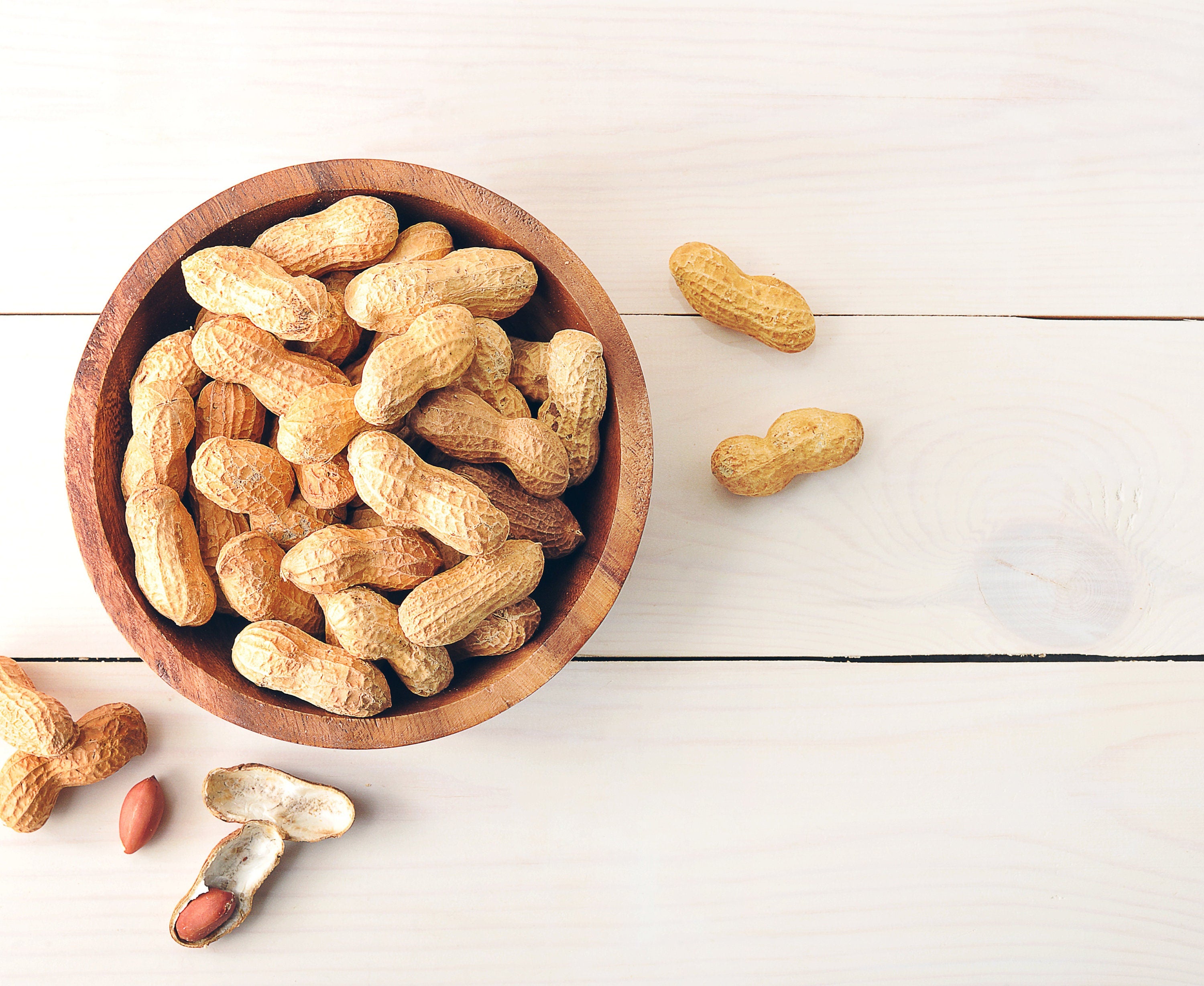 peanut plant seeds for sale Heirloom Organic Raw Spanish Peanut Seeds – Shortcake Farms