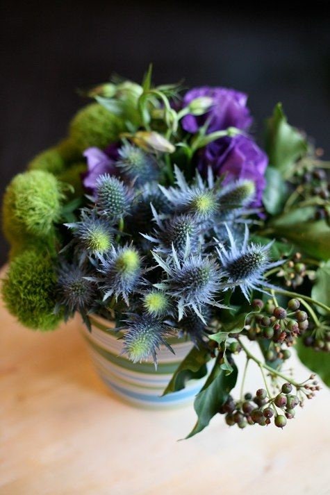 Heirloom Organic Blue Sea Holly Flower