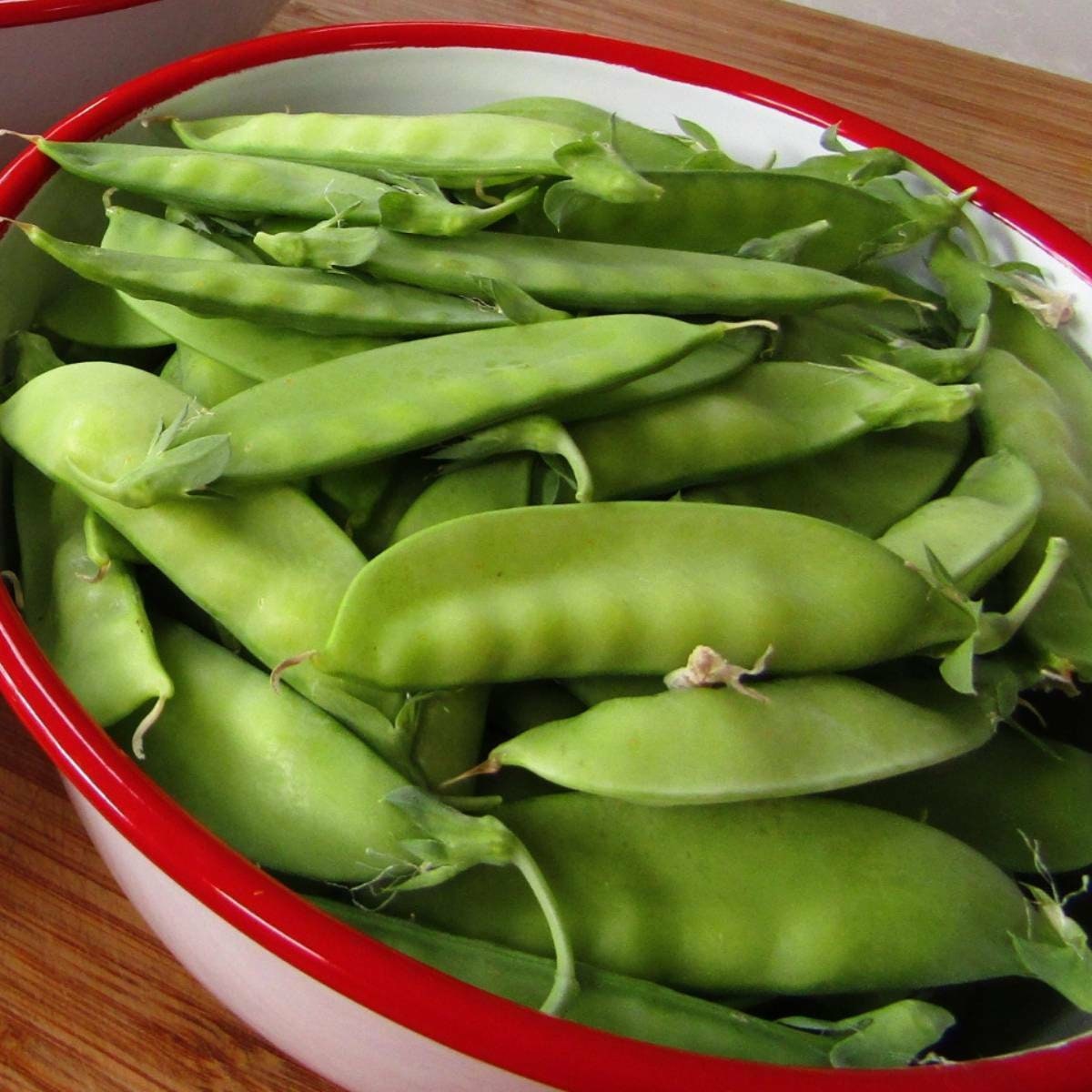 Heirloom Organic Mammoth Melting Snow Pea Seeds